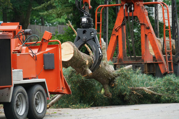 Lawn Watering Services in De Witt, NY